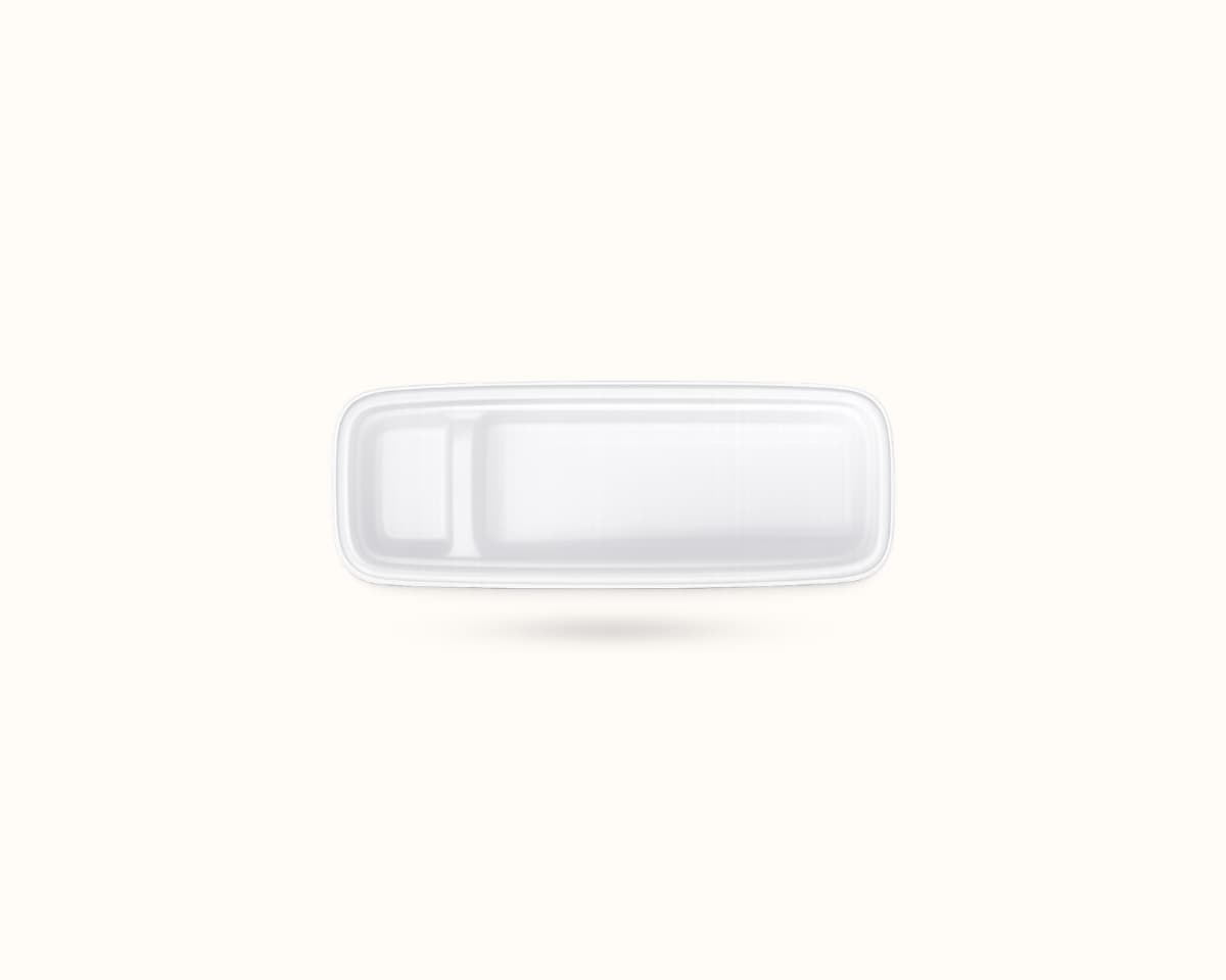 Bagasse Trays