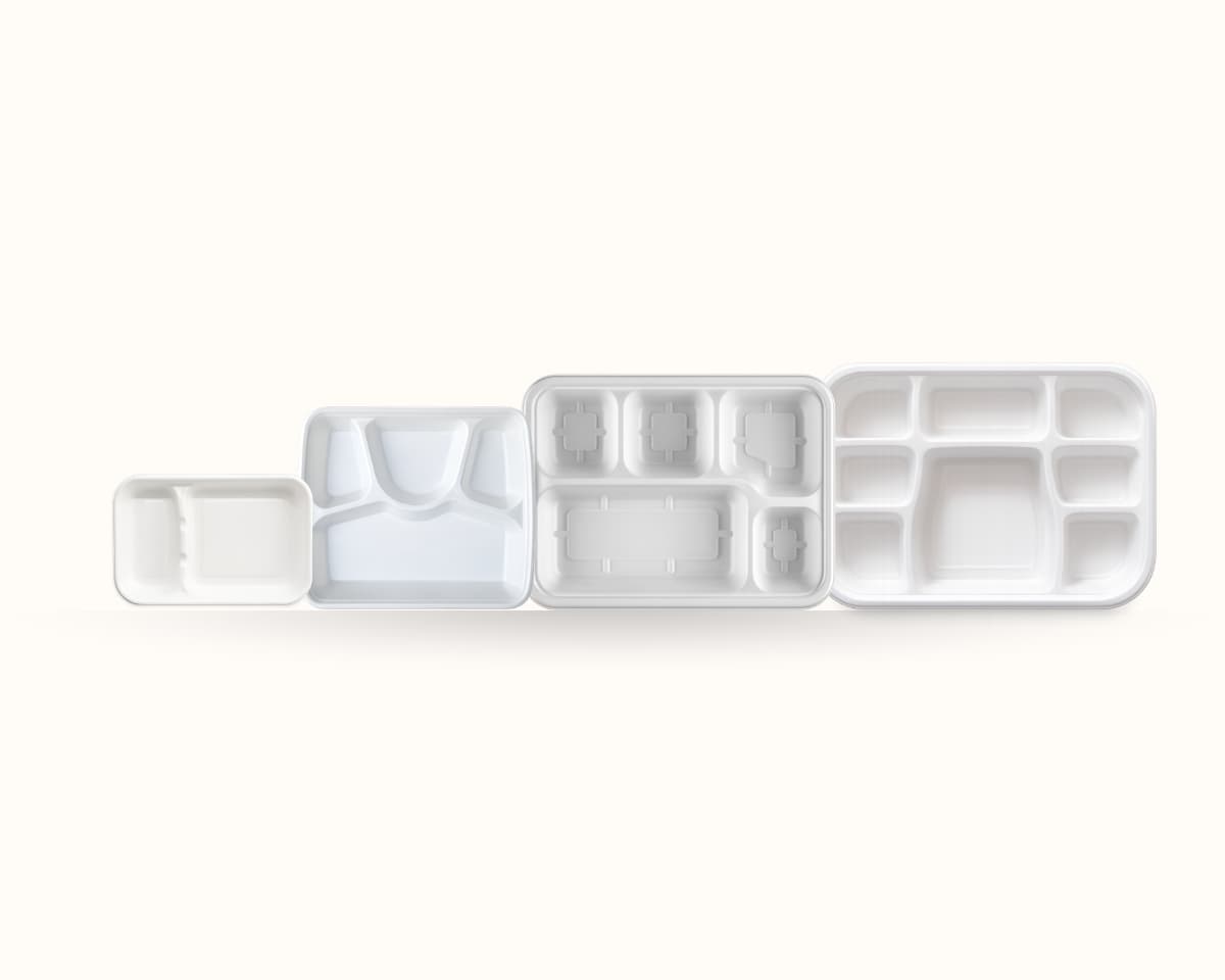 Bagasse Trays