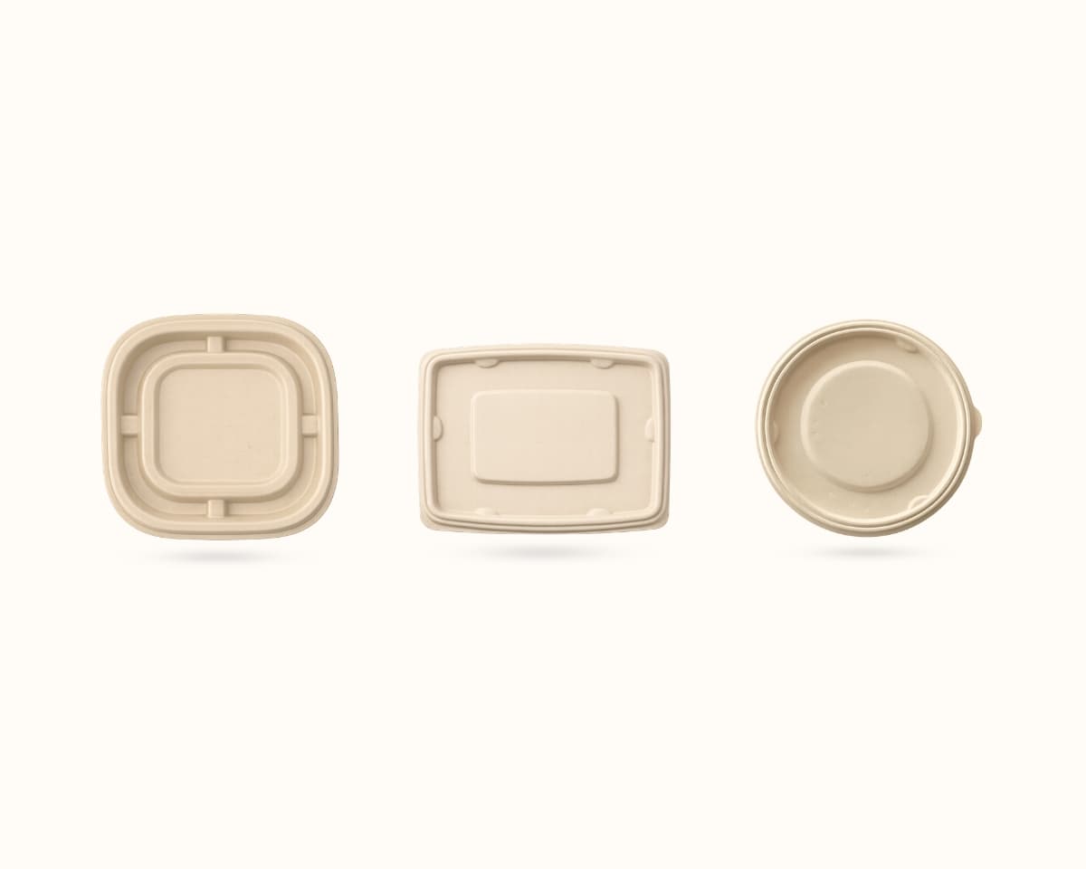Bagasse Container Lid