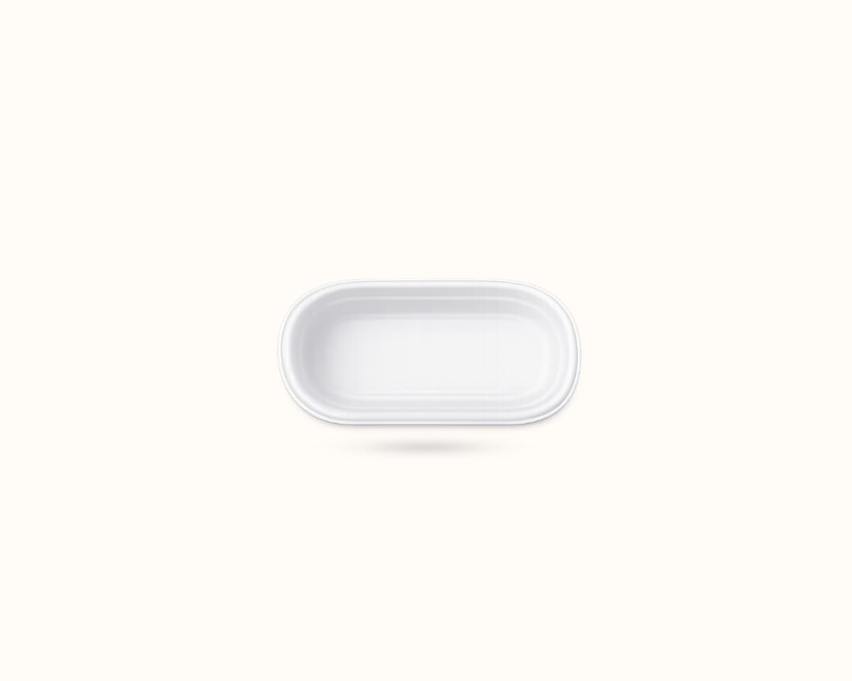 Bagasse Trays