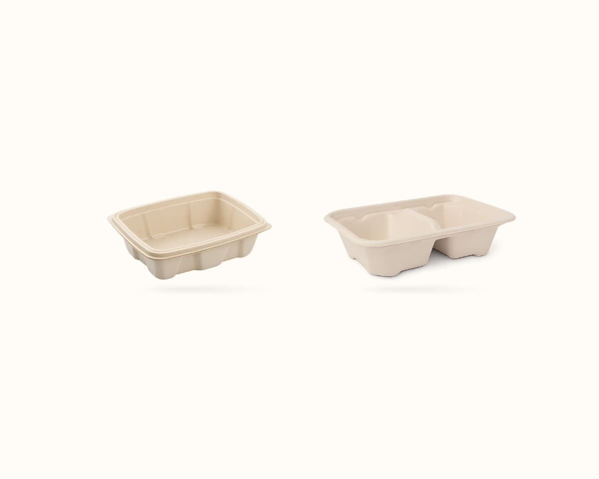 Bagasse Rectangle Container