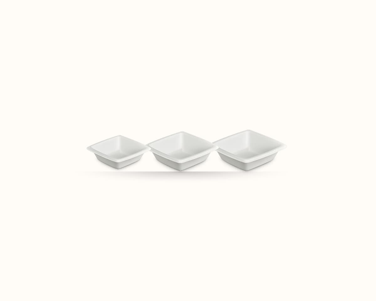 Bagasse Bowls
