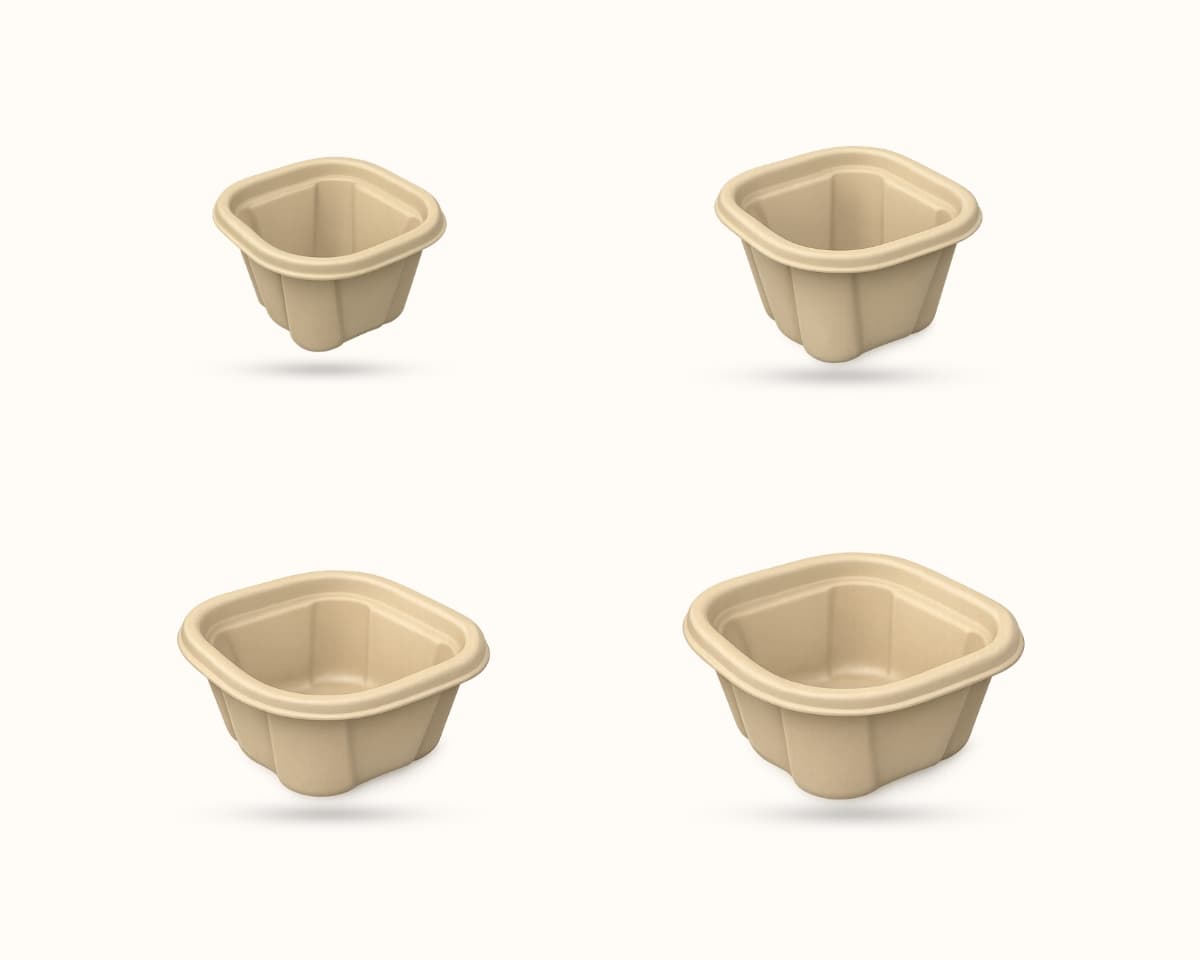 Bagasse Square Container
