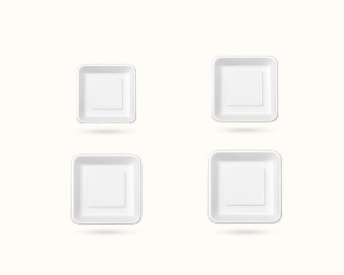 Bagasse Trays