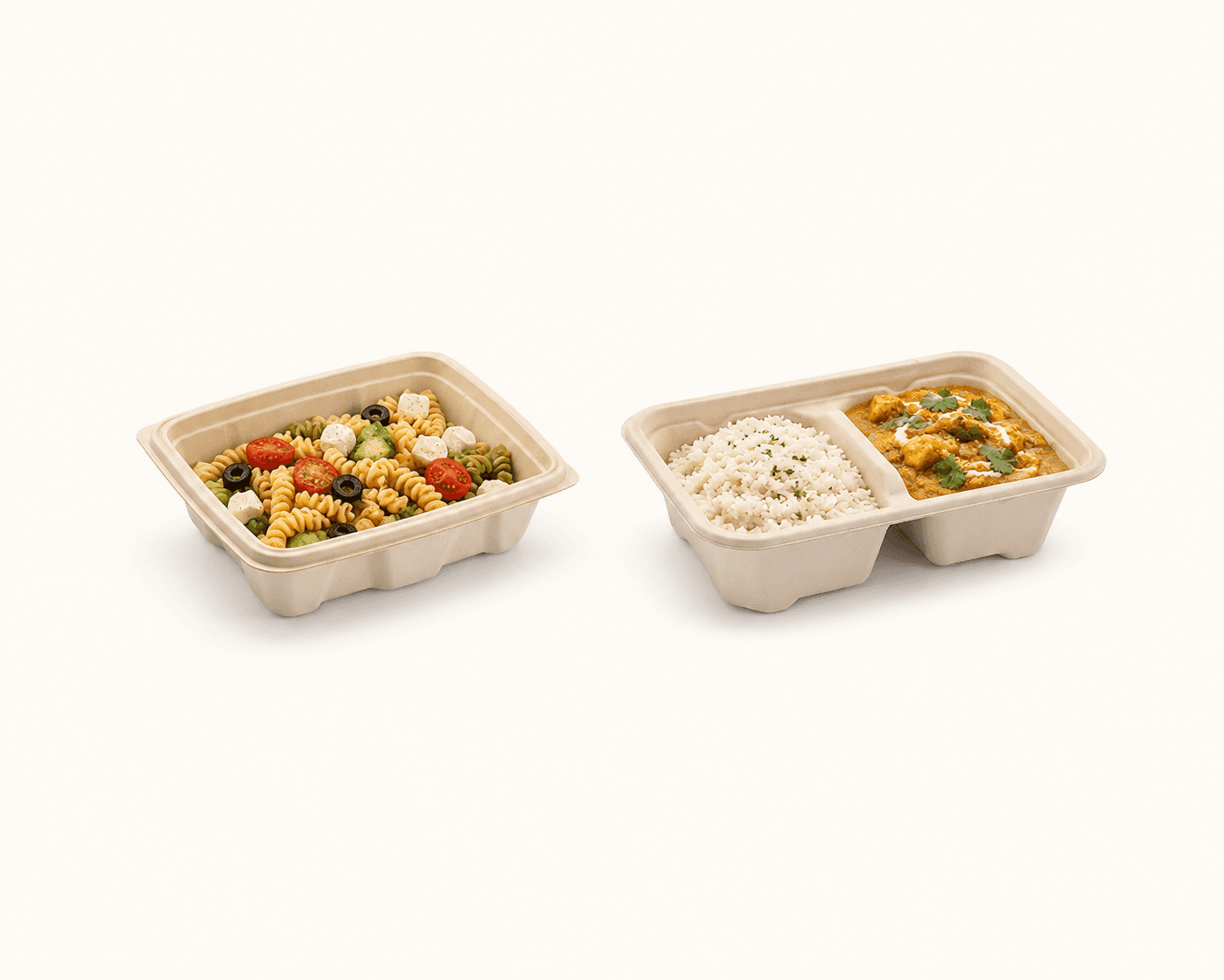 Bagasse Rectangle Container selection 2