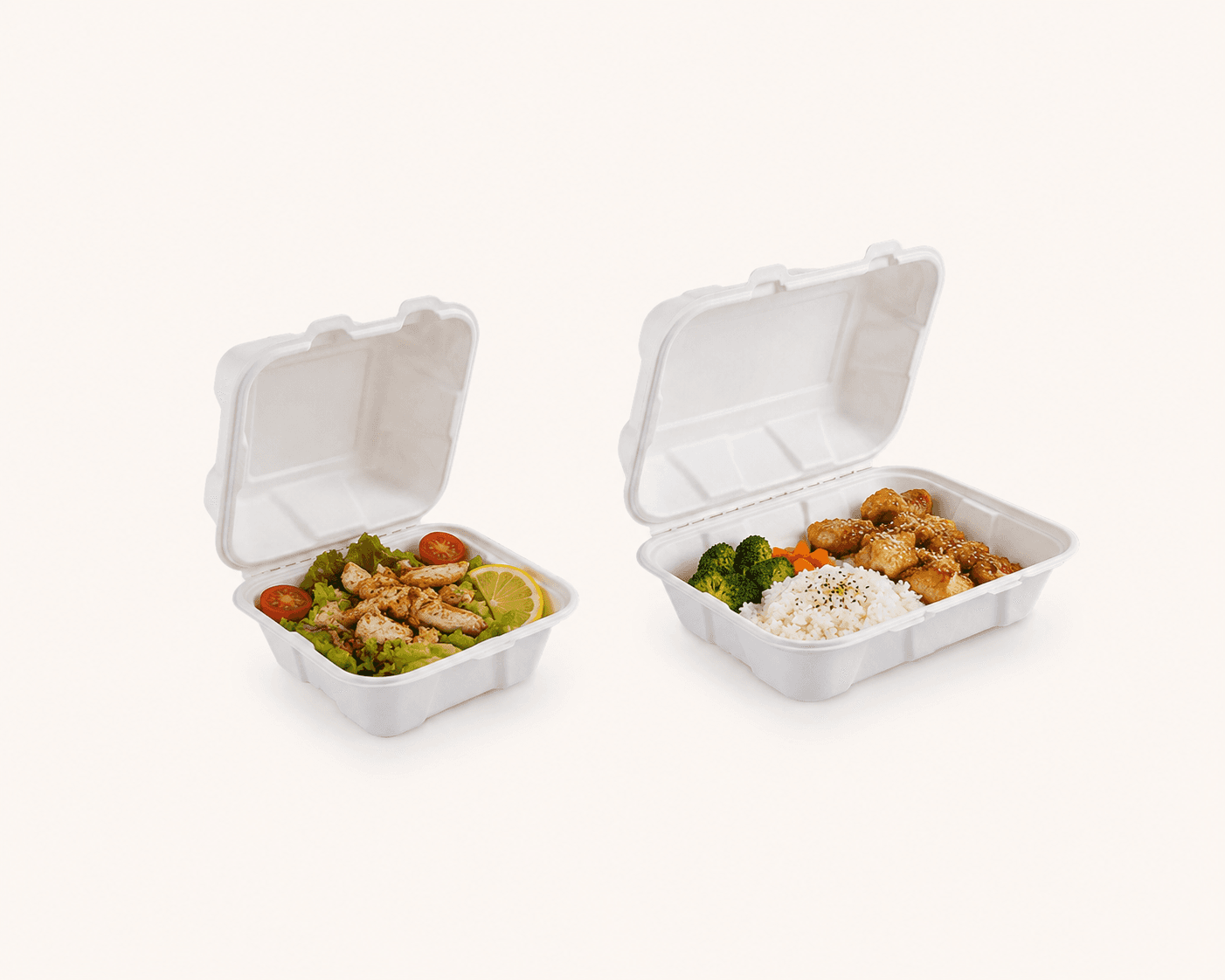 Bagasse Clamshell selection 2