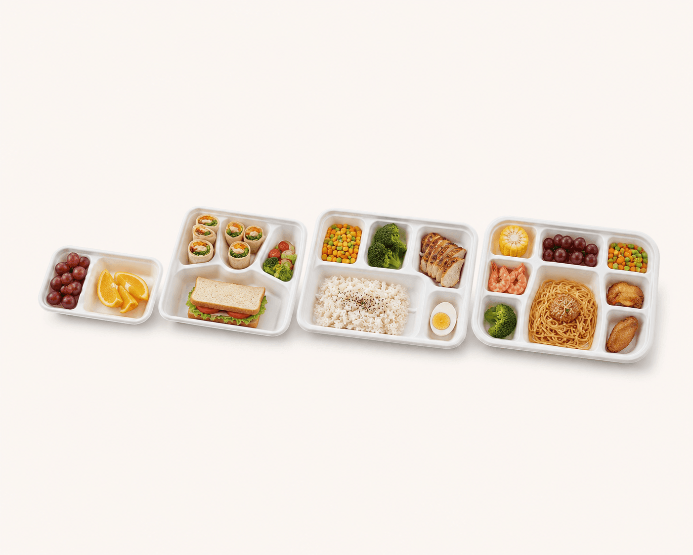Bagasse Compartment Tray selection 2