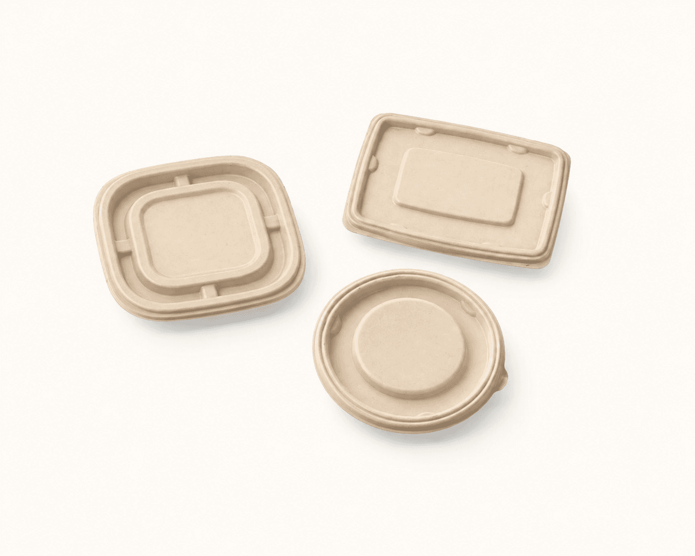 Bagasse Container Lid selection 2