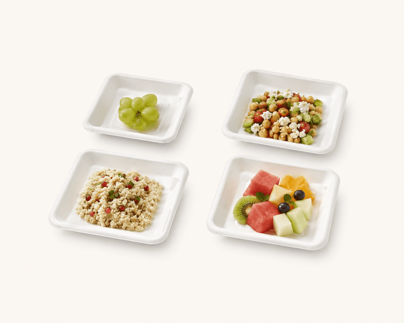 Bagasse Square Tray selection 2
