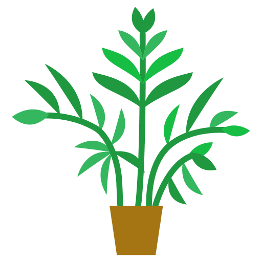The Areca Journey