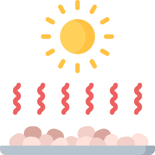 Drying Process
