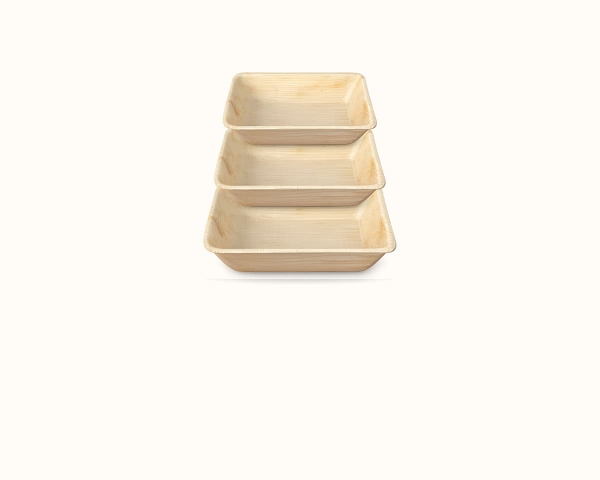 Areca Container