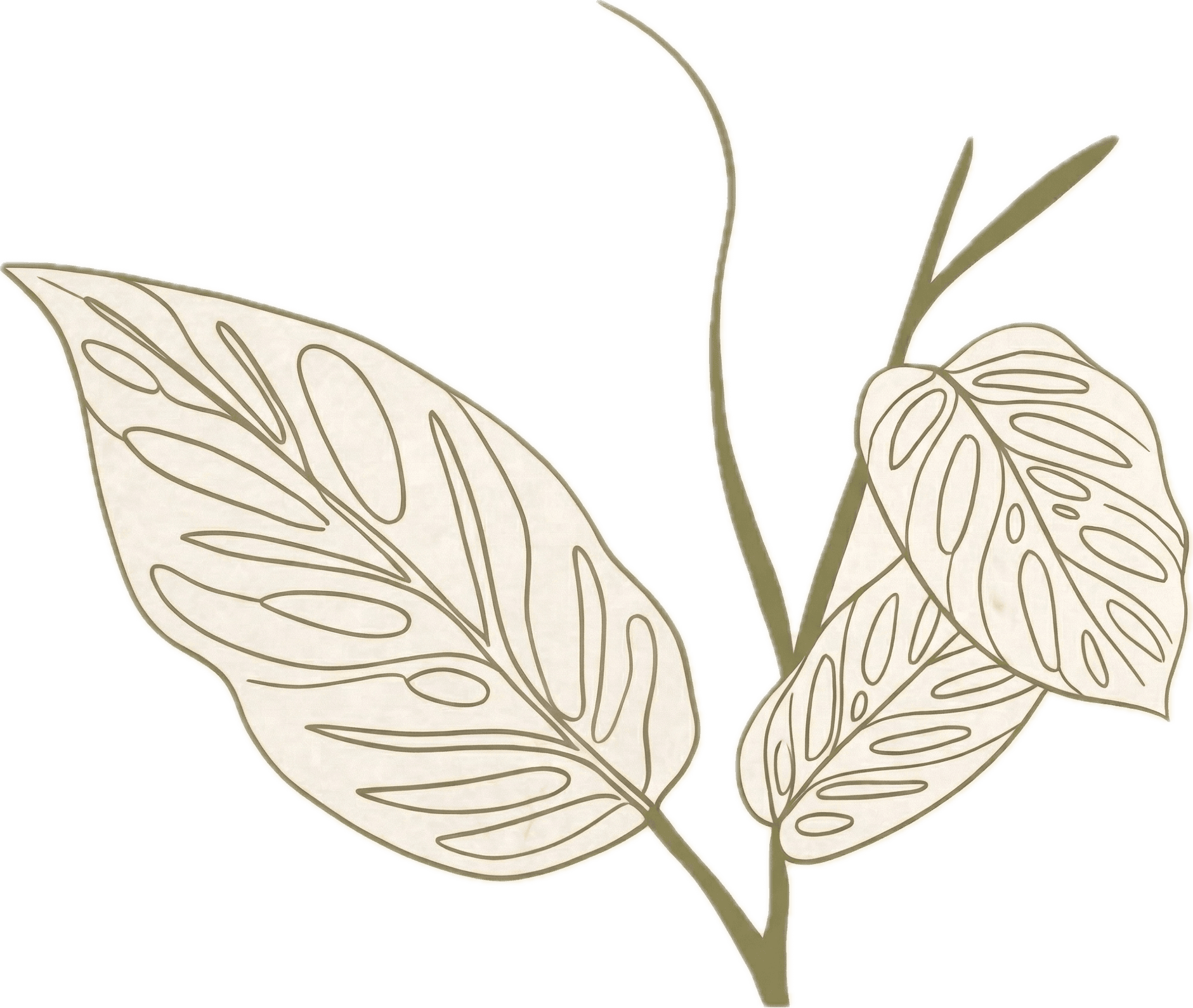 Leaf Illustration